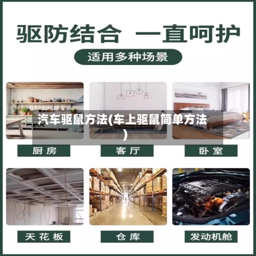 汽车驱鼠方法(车上驱鼠简单方法)