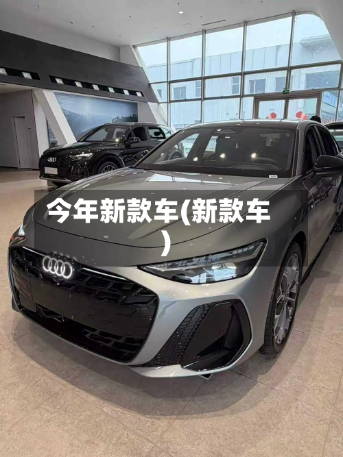 今年新款车(新款车)