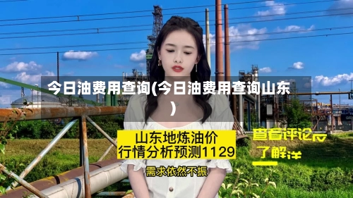 今日油费用查询(今日油费用查询山东)