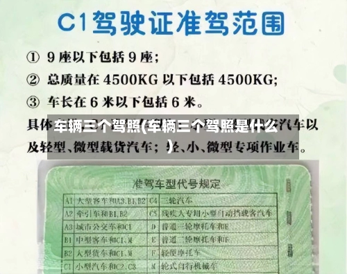车辆三个驾照(车辆三个驾照是什么)-第2张图片