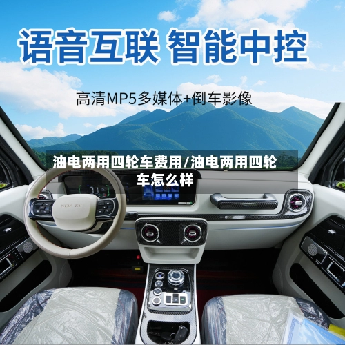 油电两用四轮车费用/油电两用四轮车怎么样-第3张图片