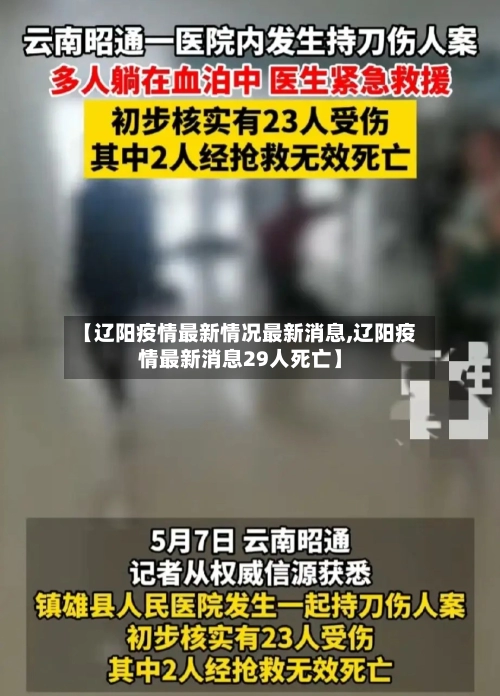 【辽阳疫情最新情况最新消息,辽阳疫情最新消息29人死亡】-第2张图片