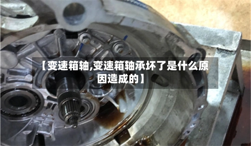 【变速箱轴,变速箱轴承坏了是什么原因造成的】-第2张图片