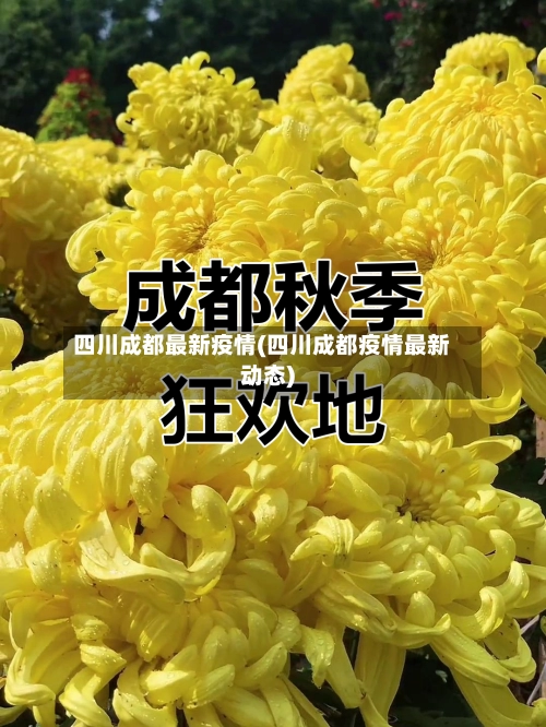 四川成都最新疫情(四川成都疫情最新动态)