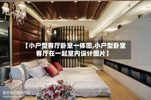 【小户型客厅卧室一体图,小户型卧室客厅在一起室内设计图片】-第3张图片