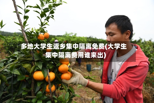 多地大学生返乡集中隔离免费(大学生集中隔离费用谁来出)-第2张图片