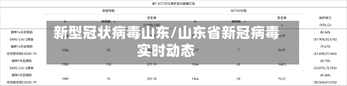 新型冠状病毒山东/山东省新冠病毒实时动态-第2张图片