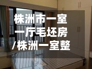 株洲市一室一厅毛坯房/株洲一室整租房费用信息-第2张图片