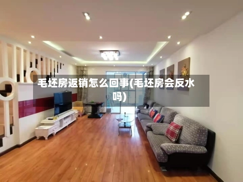 毛坯房返销怎么回事(毛坯房会反水吗)