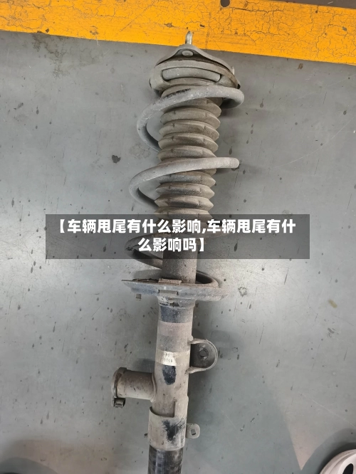 【车辆甩尾有什么影响,车辆甩尾有什么影响吗】-第2张图片