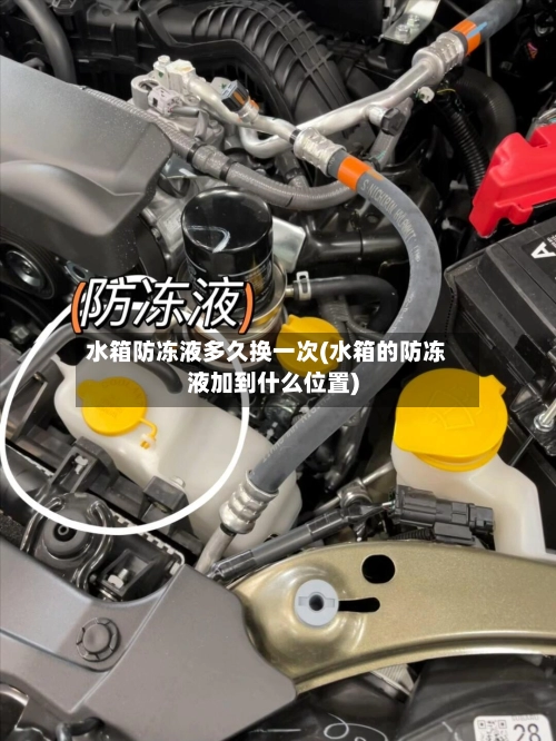 水箱防冻液多久换一次(水箱的防冻液加到什么位置)