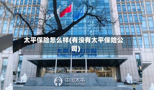 太平保险怎么样(有没有太平保险公司)-第2张图片