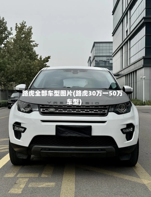 路虎全部车型图片(路虎30万一50万车型)-第3张图片