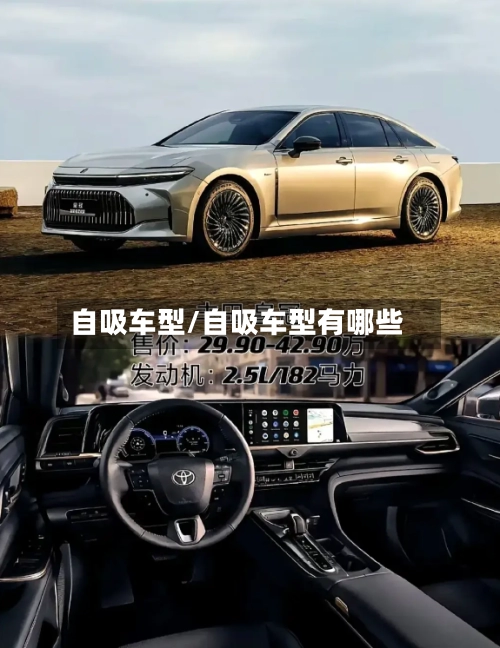 自吸车型/自吸车型有哪些