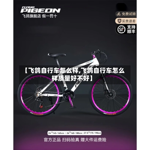 【飞鸽自行车怎么样,飞鸽自行车怎么样质量好不好】