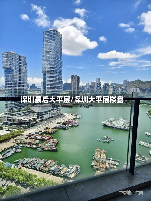深圳最后大平层/深圳大平层楼盘-第3张图片