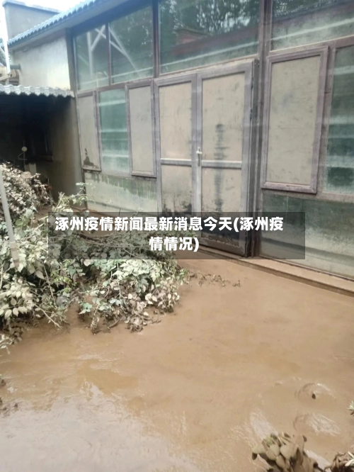 涿州疫情新闻最新消息今天(涿州疫情情况)-第2张图片