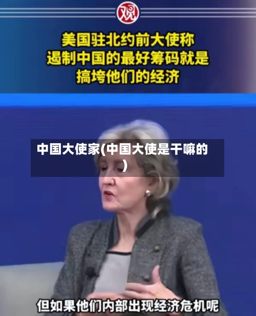 中国大使家(中国大使是干嘛的)
