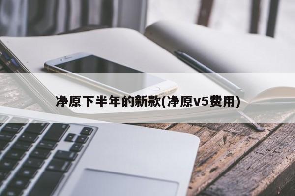 净原下半年的新款(净原v5费用)