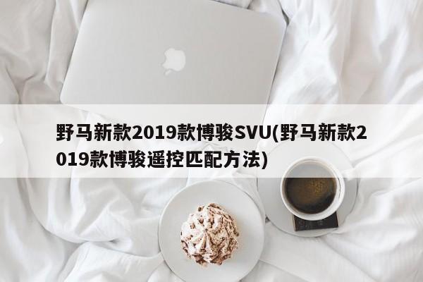 野马新款2019款博骏SVU(野马新款2019款博骏遥控匹配方法)