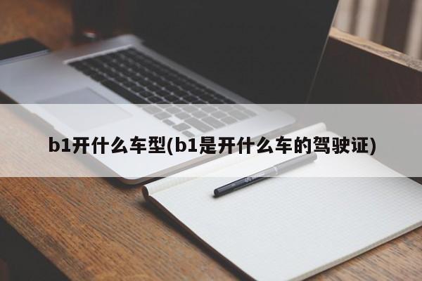 b1开什么车型(b1是开什么车的驾驶证)