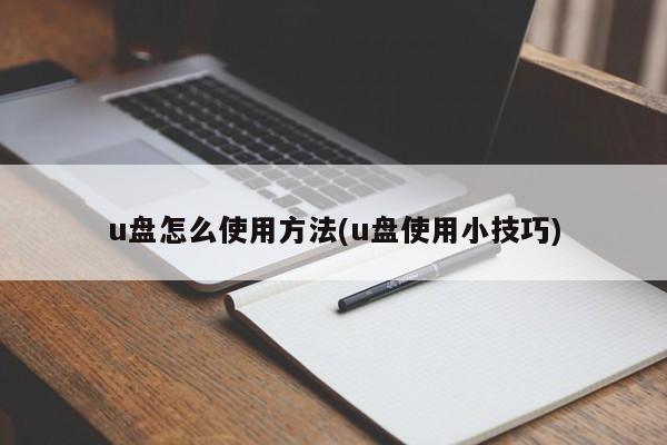 u盘怎么使用方法(u盘使用小技巧)