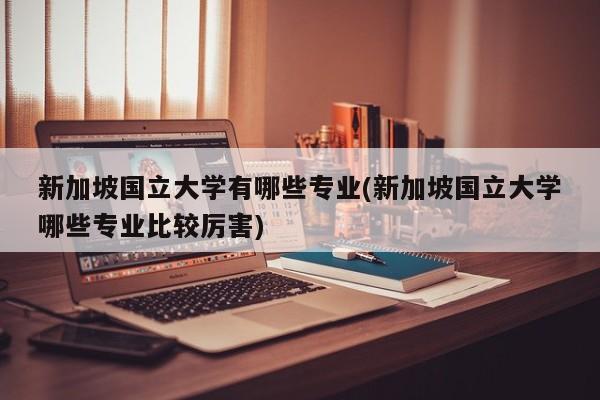 新加坡国立大学有哪些专业(新加坡国立大学哪些专业比较厉害)