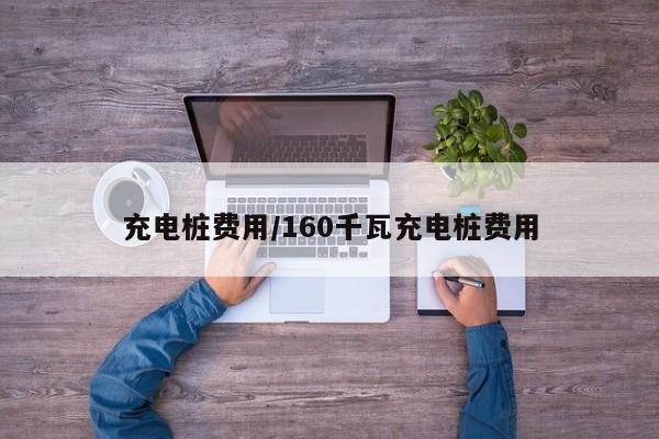 充电桩费用/160千瓦充电桩费用
