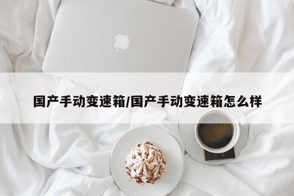 国产手动变速箱/国产手动变速箱怎么样