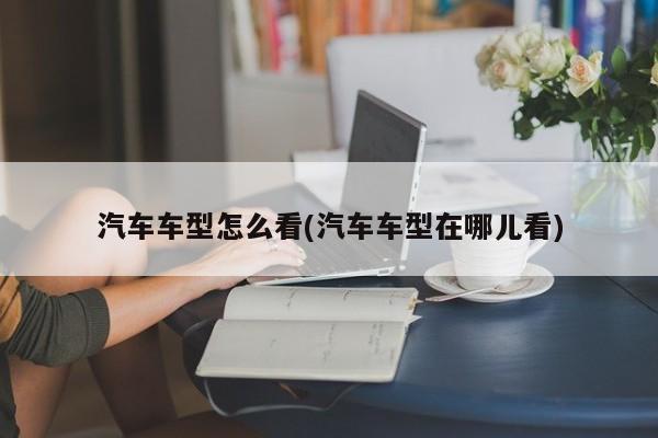 汽车车型怎么看(汽车车型在哪儿看)