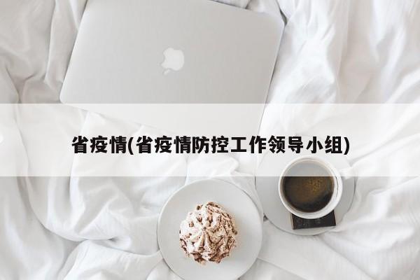 省疫情(省疫情防控工作领导小组)